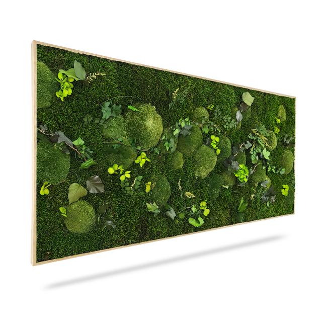 Mechový obraz ROSTLINY Měsí, 100x50cm, dřevěný černý rám