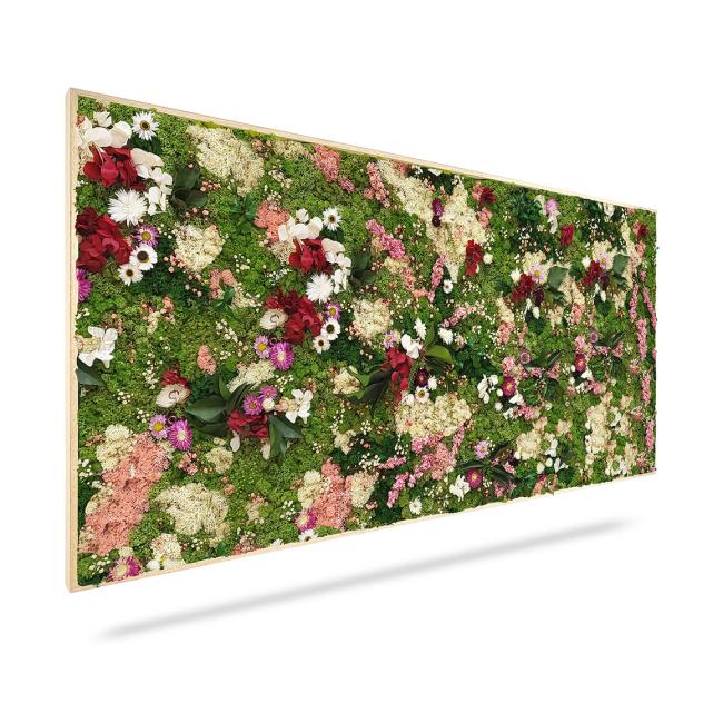 Mechový obraz ROSTLINY Huelma, 120x40cm, dřevěný bílý rám