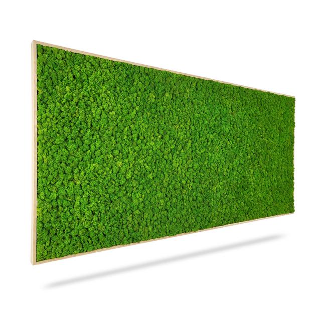Mechový obraz LIŠEJNÍK mono GREEN, 140x60cm, dřevěný bílý rám