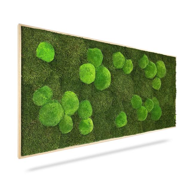 [BE000011] Mechový obraz Light Green, 80x40cm, dřevěný světle hnědý rám