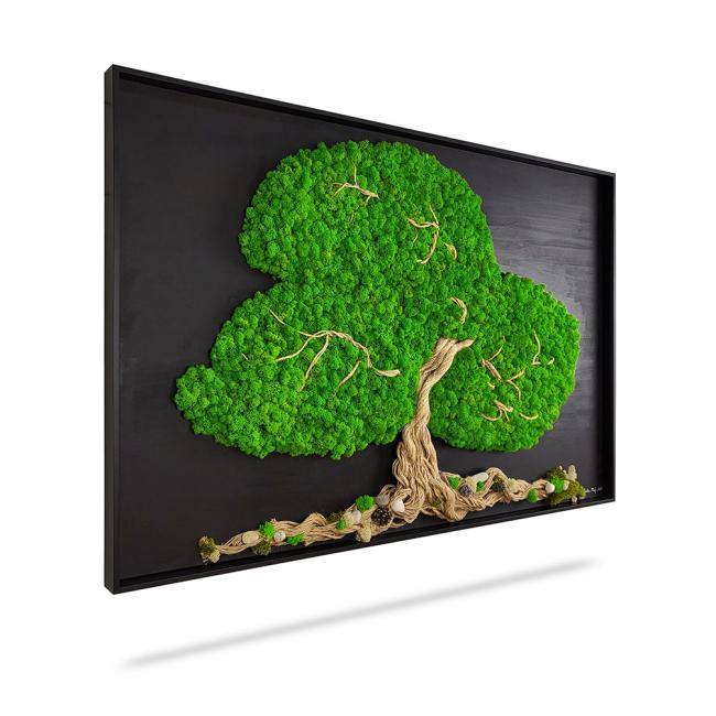 [BE000012] Mechový obraz STROM ARLES, 120x60cm, dřevěný černý rám