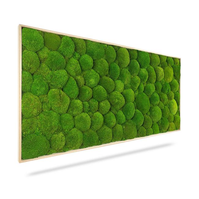 Mechový obraz LIGHT, 120x80cm, dřevěný světle hnědý rám