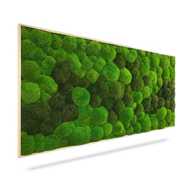 Mechový obraz DUO Light Green, 100x50cm, dřevěný světle hnědý rám