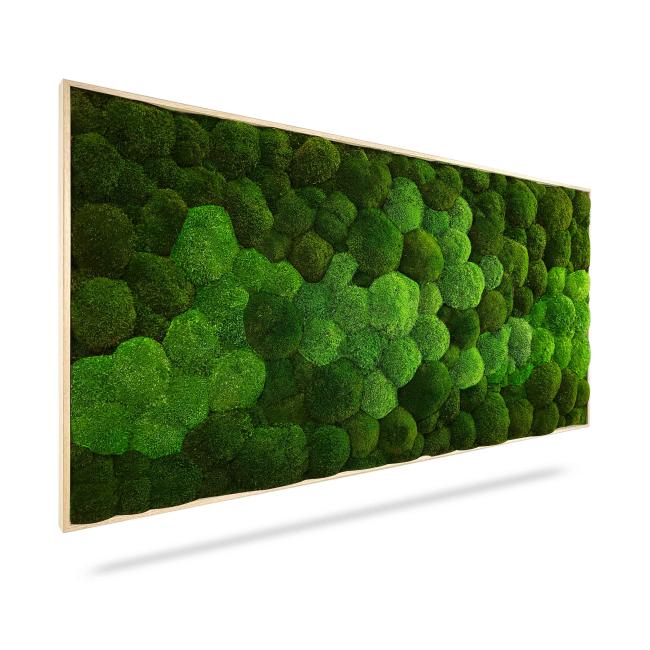 Mechový obraz DUO Natural Green, 160x60cm, dřevěný černý rám