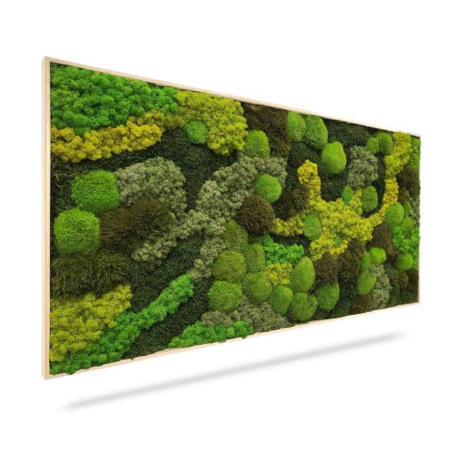 [BE000016] Mechový obraz ORTHO TELDE, 100x60cm, dřevěný bílý rám