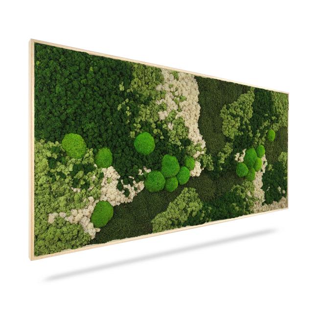 Mechový obraz ORTHO FOREST, 40x40cm, dřevěný černý rám