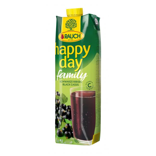 Džus Happy Day Family Černý rybíz 25% 1 ℓ