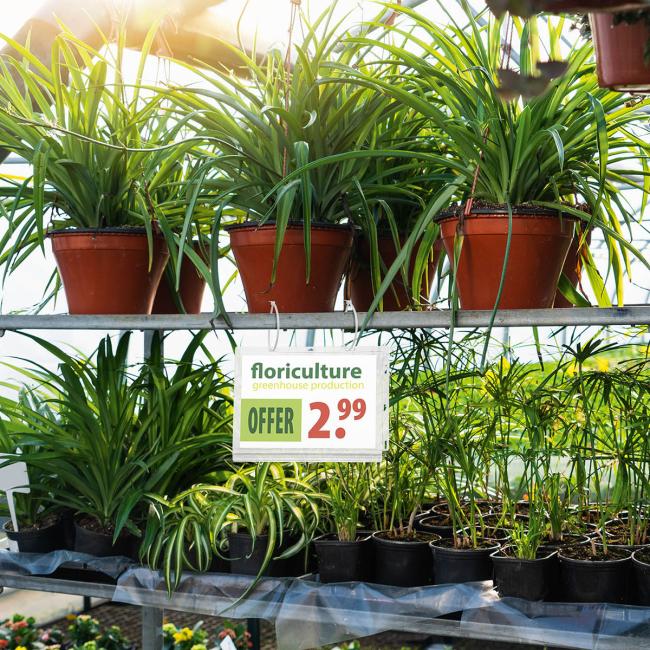 [DU505919] Voděodolná kapsa s úchytkami Durable A5 5 ks Voděodolná kapsa formát A5