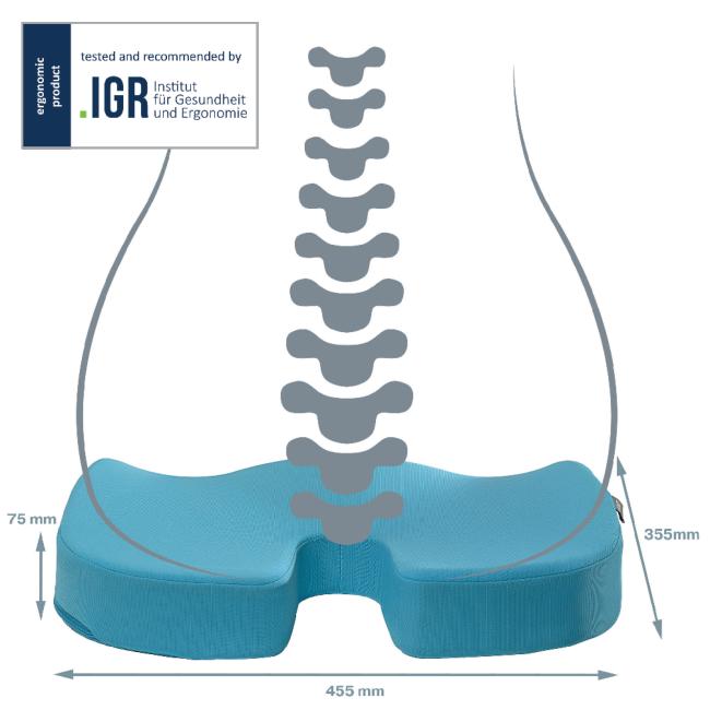 [ES840061] Polštář k sezení Leitz Cosy Ergo klidný modrý