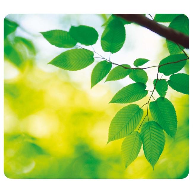 Podložka pod myš Dopisy