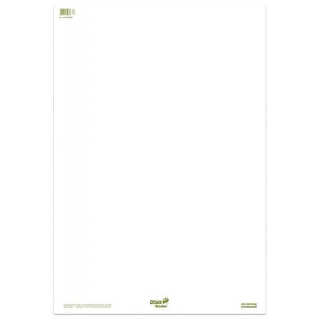 [FW608580] Flipchartový blok papíru čistý recyklovaný 20 listů, 5 ks